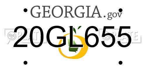20GL655 Georgia License Plate