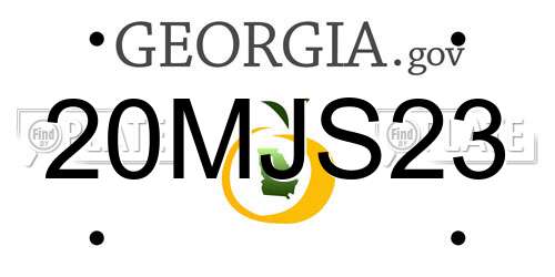 20MJS23 Georgia License Plate