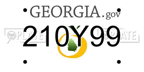 210Y99 Georgia License Plate