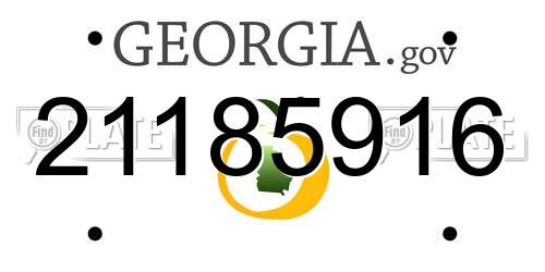21185916 Georgia License Plate