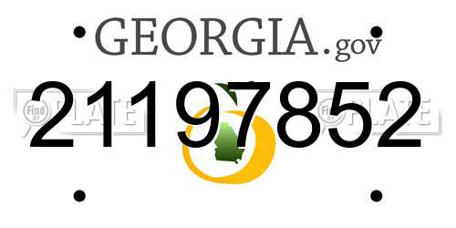 21197852 Georgia License Plate