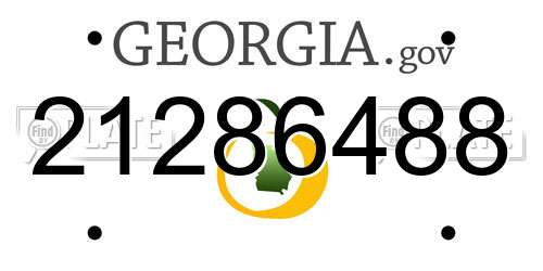 21286488 Georgia License Plate