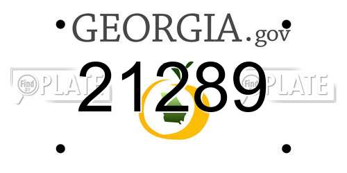 21289 Georgia License Plate