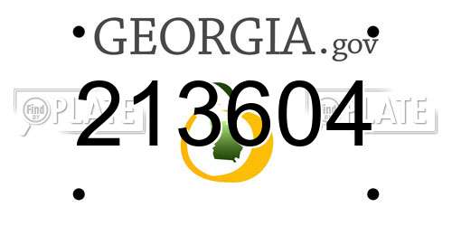 213604 Georgia License Plate