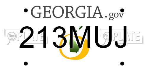 213MUJ Georgia License Plate