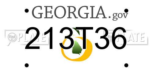 213T36 Georgia License Plate