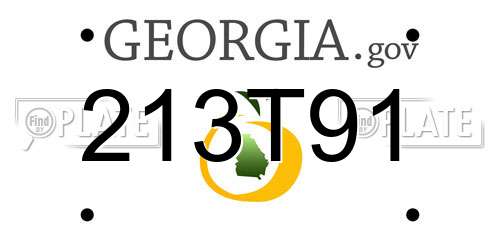 213T91 Georgia License Plate