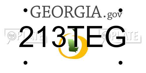 213TEG Georgia License Plate