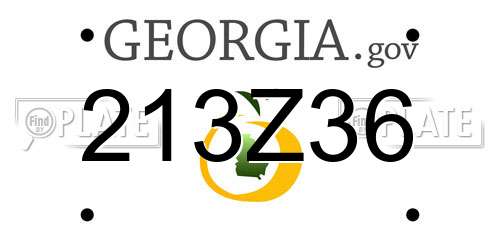 213Z36 Georgia License Plate