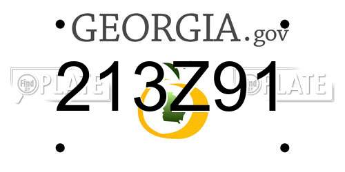 213Z91 Georgia License Plate