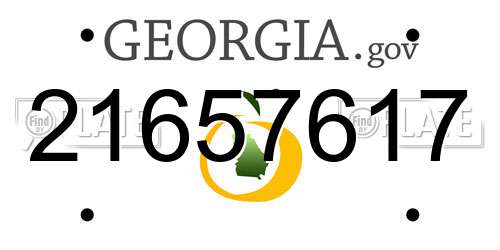 21657617 Georgia License Plate
