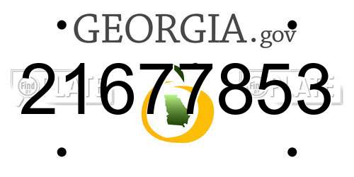 21677853 Georgia License Plate