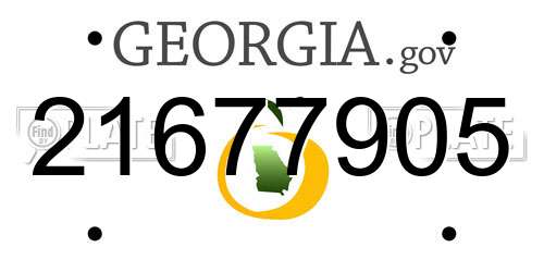 21677905 Georgia License Plate