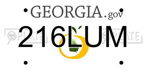 216LUM Georgia License Plate