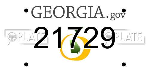 21729 Georgia License Plate