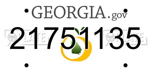 21751135 Georgia License Plate