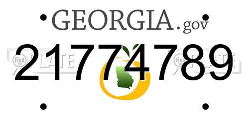 21774789 Georgia License Plate