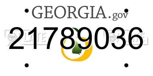 21789036 Georgia License Plate