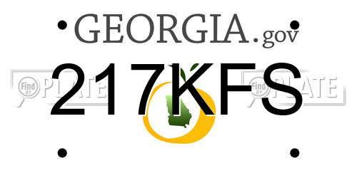 217KFS Georgia License Plate
