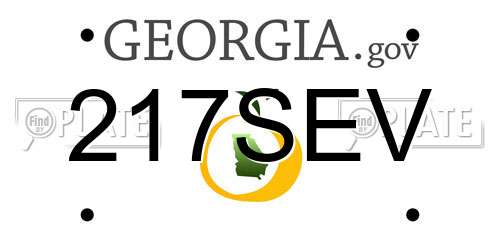 217SEV Georgia License Plate