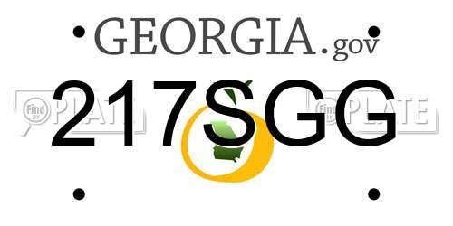 217SGG Georgia License Plate