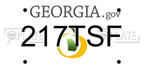 217TSF Georgia License Plate