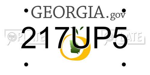 217UP5 Georgia License Plate