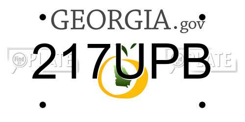 217UPB Georgia License Plate