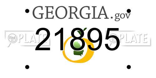 21895 Georgia License Plate