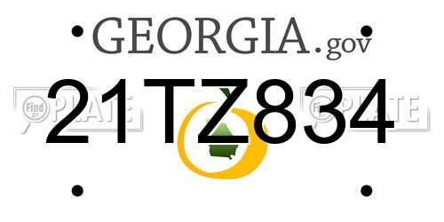 21TZ834 Georgia License Plate
