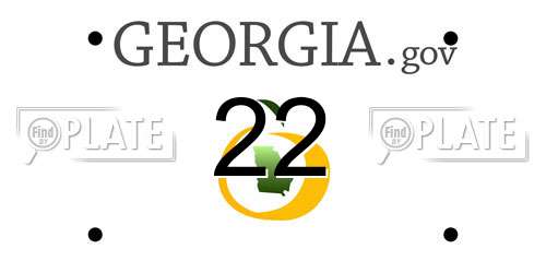 22 Georgia License Plate