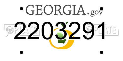 2203291 Georgia License Plate
