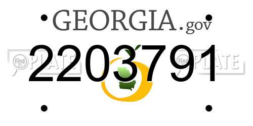 2203791 Georgia License Plate