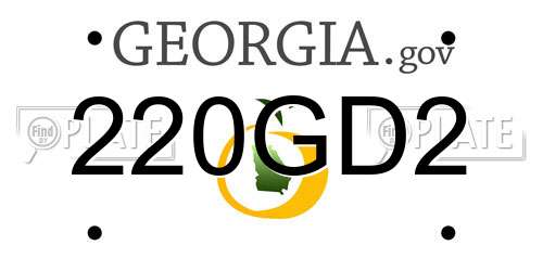 220GD2 Georgia License Plate