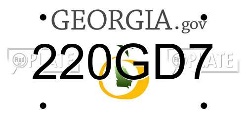 220GD7 Georgia License Plate