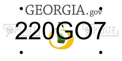 220GO7 Georgia License Plate