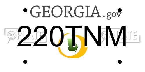 220TNM Georgia License Plate