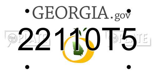 22110T5 Georgia License Plate