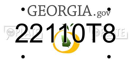 22110T8 Georgia License Plate