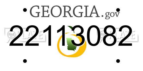 22113082 Georgia License Plate