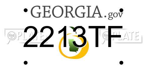 2213TF Georgia License Plate