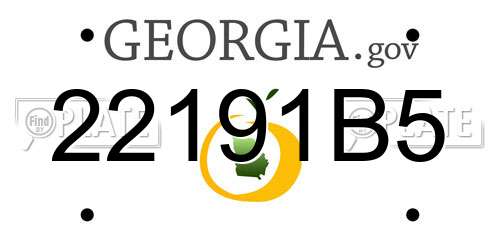 22191B5 Georgia License Plate