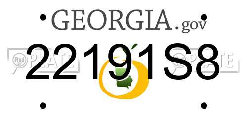 22191S8 Georgia License Plate