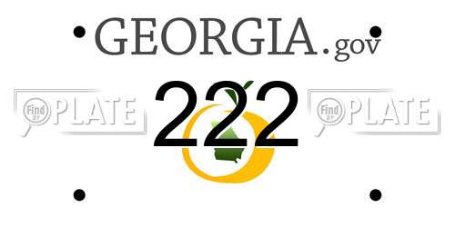 222 Georgia License Plate