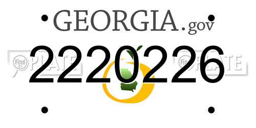 2220226 Georgia License Plate