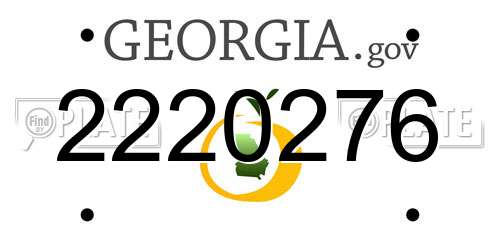 2220276 Georgia License Plate