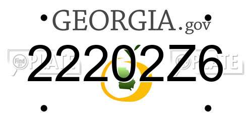 22202Z6 Georgia License Plate