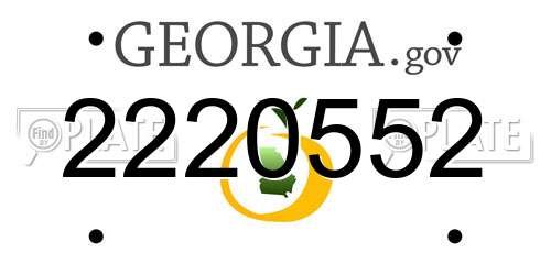 2220552 Georgia License Plate
