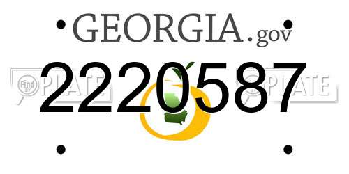 2220587 Georgia License Plate