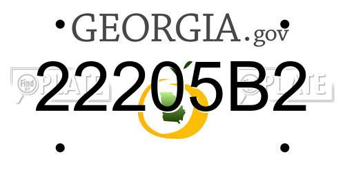 22205B2 Georgia License Plate
